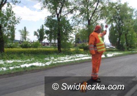 powiat świdnicki: Pozimowe majowe porządki