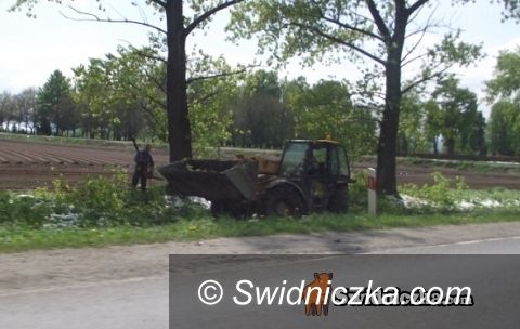 Świdnica/Dolny Śląsk: Czwartek w Świdnicy i w okolicy