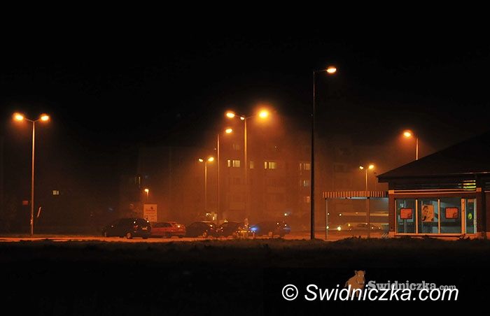 Świdnica: Znów płoną altanki