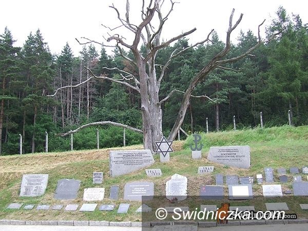 Rogoźnica: Nocne zwiedzanie muzeum przerażających zbrodni