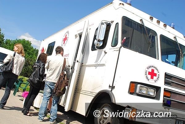 Świdnica/Strzegom: Polała się krew – posypały się nagrody
