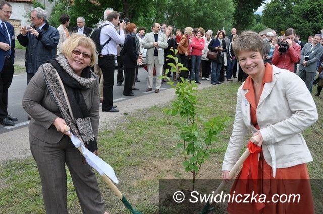 Krzyżowa: Zasadzą drzewo z okazji setnych urodzin