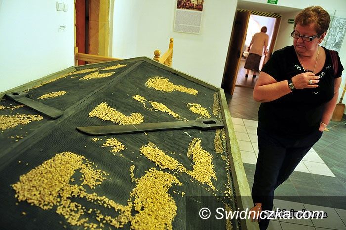 Świdnica: Świdnickie muzeum nocą