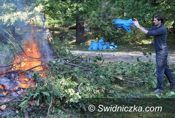 Świdnica: Flesza Nowomłyńska wysprzątana