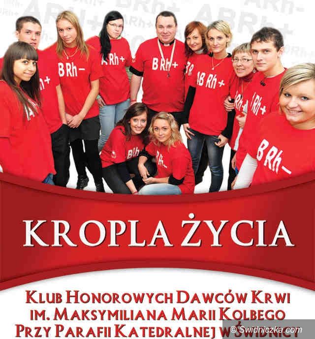 Świdnica: Krew w Ekonomiku i Mechaniku