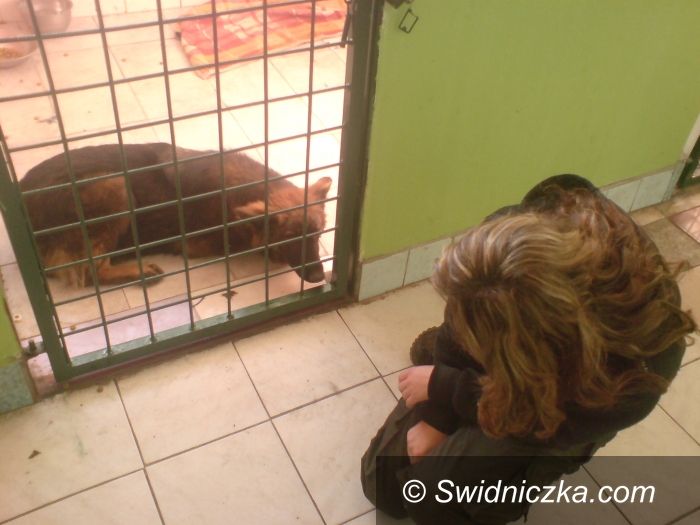 Uciechów/ Świdnica: Tam znaleźć możesz przyjaciela