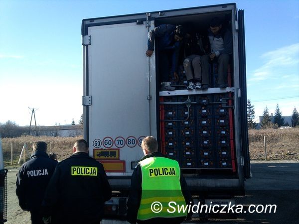 Dzierżoniów: Jedenastu wyziębionych Afgańczyków w transporcie mandarynek