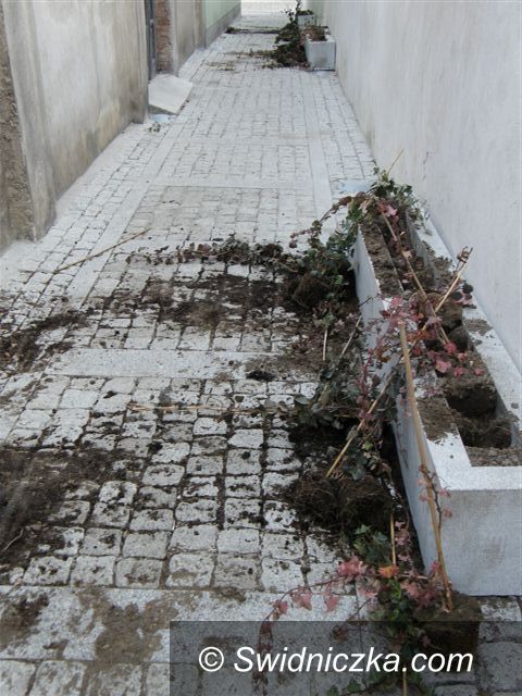 Świebodzice: Łącznik w Świebodzicach już gotowy