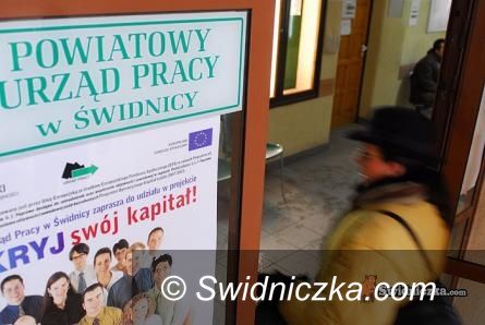 Świdnica: Giełda pracy w Powiatowym Urzędzie Pracy