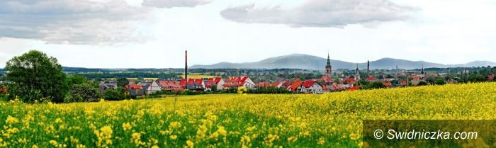 Świebodzice: Rekordowa sprzedaż gruntu