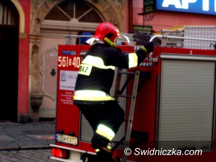 Wrocław/Świdnica: Świdniczanka wpadła do fosy