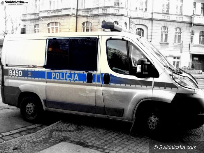 Żarów: Dokonali 18 przestępstw. Zostali zatrzymani przez policjantów