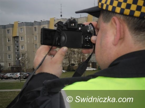 Świdnica: Psie odchody na celowniku straży miejskiej
