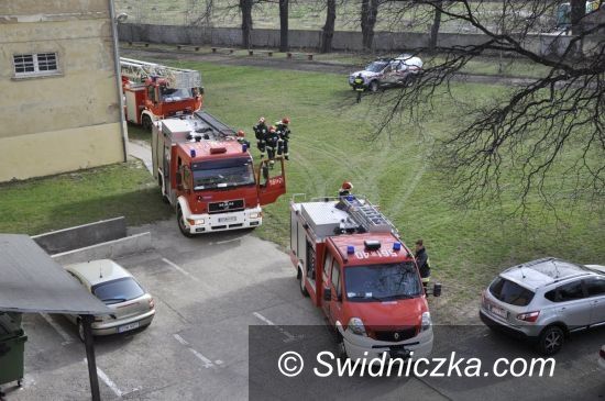 Świdnica: III LO w „płomieniach”