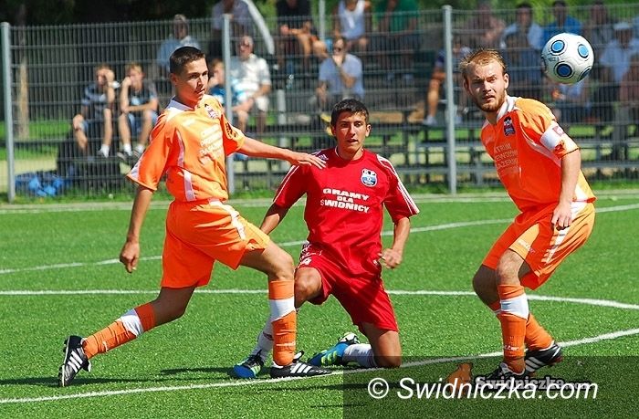 LDJ, LDJM: Stal w Kątach Wrocławskich, Polonia w Dzierżoniowie