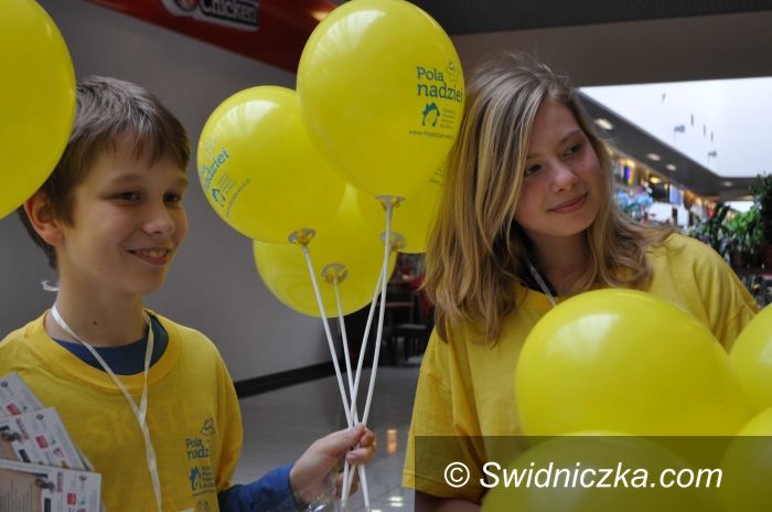 Świdnica: Pola Nadziei w Galerii Świdnickiej