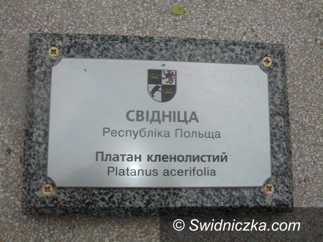 Świdnica/ Ukraina: Świdnica w alei miast partnerskich