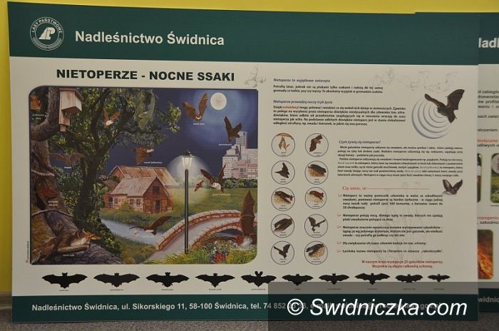 Gmina Świdnica: Mopek i Niecek dają się poznać bliżej