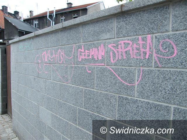 Świdnica: Kamery w zaułku w Świebodzicach