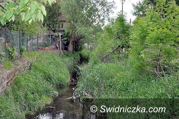 Gmina Żarów: Tarnawka do liftingu