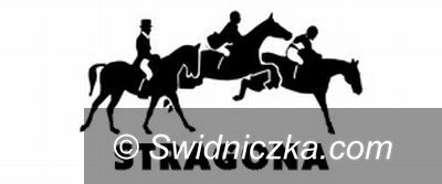 Morawa: Dzień Dziecka w Morawie