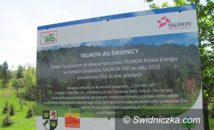 Świdnica: Ponad pół tysiąca nowych drzew