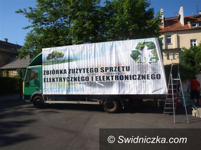 Świebodzice: Oddali "grata" za kwiata