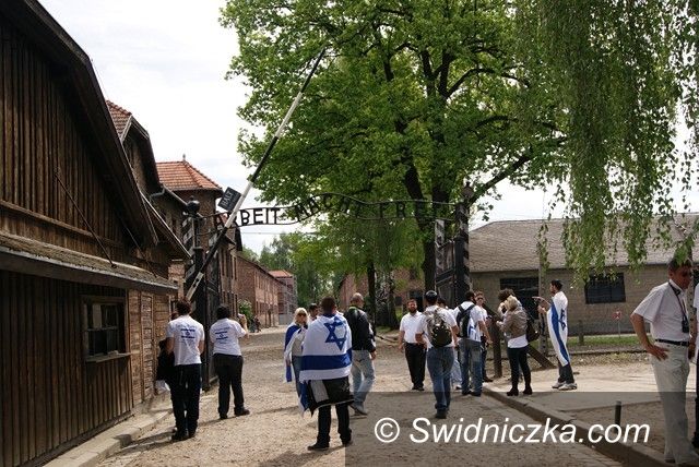 Oświęcim: Wycieczki świdniczki: Oświęcim– obowiązkowa lekcja historii