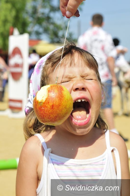 Morawa: Piknik z końmi