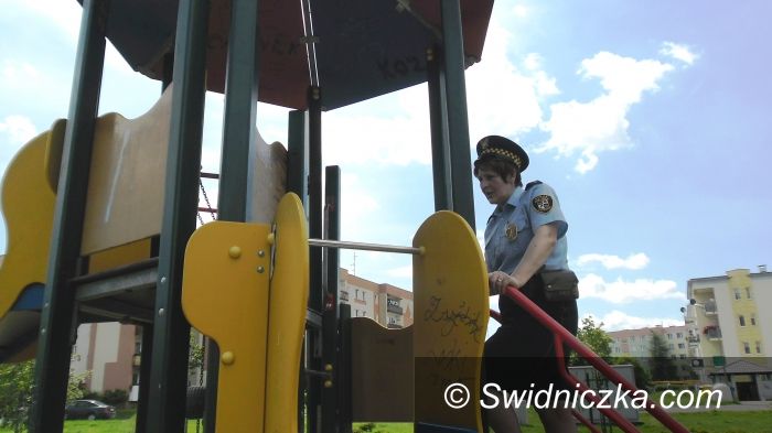 Świdnica: Kontrola placów zabaw