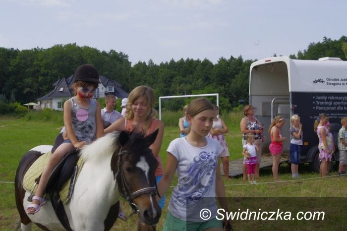 Gmina Żarów: Bawili się na pikniku