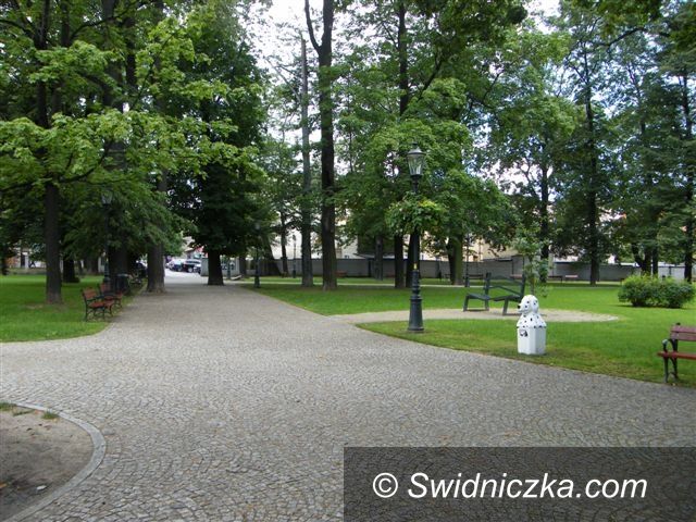 Świebodzice: Łaciate pieski w parku