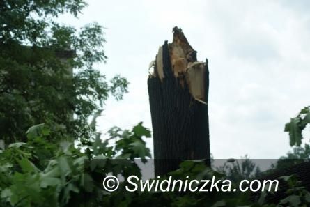 Świdnica: Ostrzeżenie meteorologiczne dla Świdnicy. Możliwe trąby powietrzne