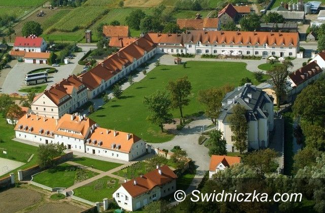 Gmina Świdnica: PÓŁKOLONIE W FUNDACJI KRZYŻOWA