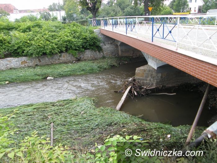 Świebodzice: Pełcznica znów pogroziła