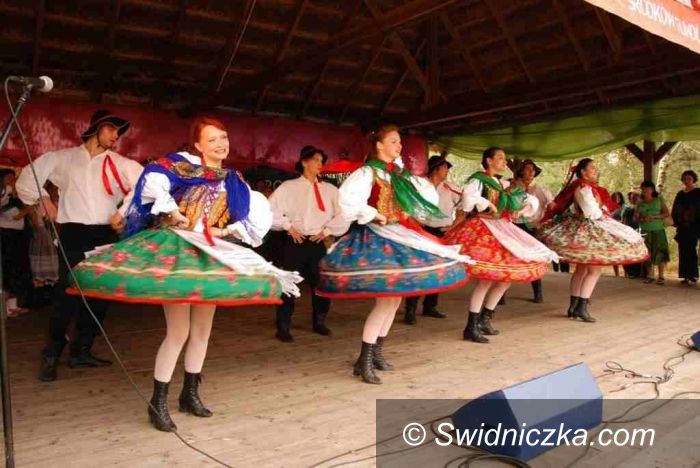 powiat łowicki: Zespół „Krąg” i „Mokrzeszów” w partnerskim powiecie łowickim