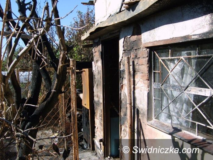 Świdnica: Bandyckie zachowanie, podpalono kojec, w którym znajdowały się koty