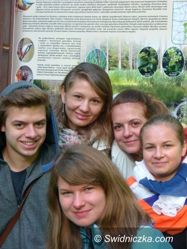 Świdnica: „Kurka wodna”
