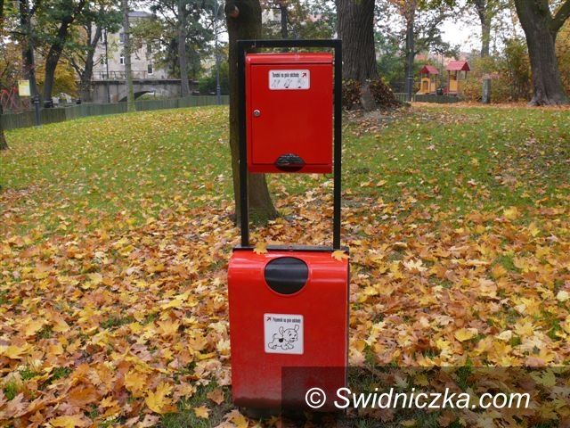 Strzegom: Sprzątnij po swoim czworonogu