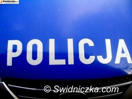 powiat świdnicki: Podsumowanie policyjnej akcji "ZNICZ 2012"