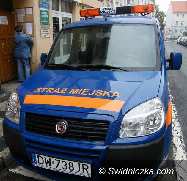 Świebodzice: Pamiętajmy o bezdomnych