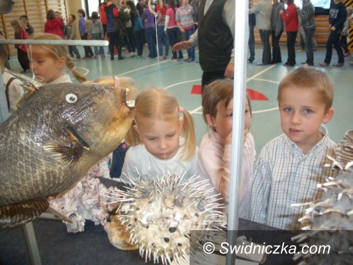 Świdnica: Niezwykłe spotkanie ze skarbami mórz i oceanów