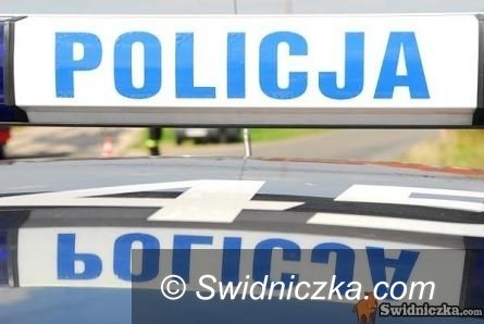 Dolny Śląsk: Dolnośląscy policjanci podsumowali weekend
