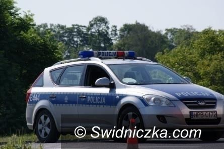 Gmina Strzegom: Skradł 16 jagniąt z gospodarstwa rolnego