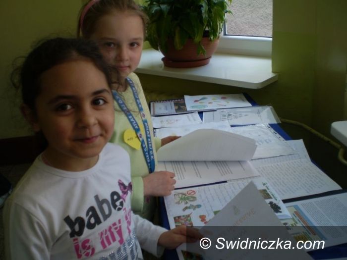 Świdnica: Dni Zdrowia w Szkole Podstawowej nr 315