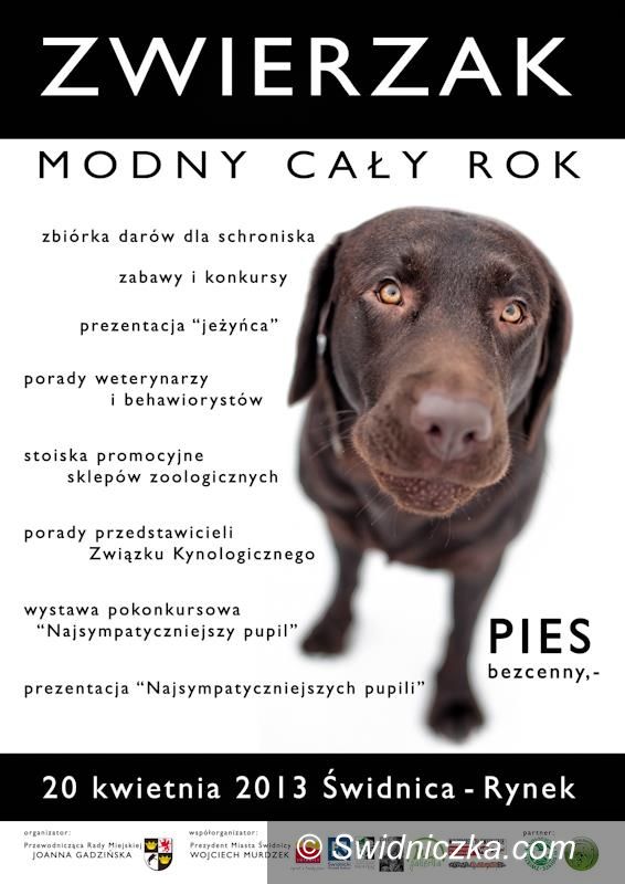 Świdnica: Pierwszy Świdnicki Dzień Zwierzaka już w sobotę!