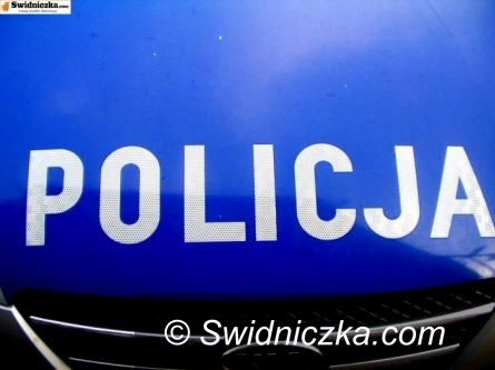 Świdnica: Nieletni złodziej i włamywacz ujęty