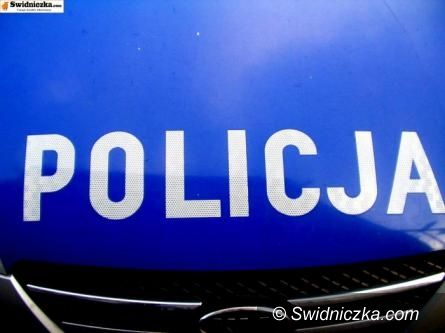 Świdnica: Nieletni złodziej i włamywacz ujęty