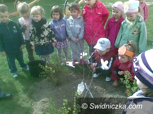 Pszenno: „Zielona Piosenka” w Bajkowej Dolince