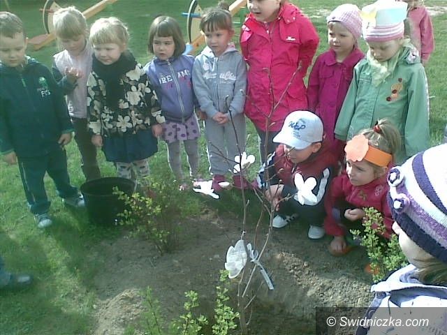 Pszenno: „Zielona Piosenka” w Bajkowej Dolince